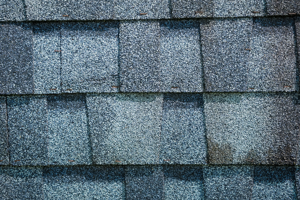 The Real Cost of Neglecting Roof Maintenance in New Jersey