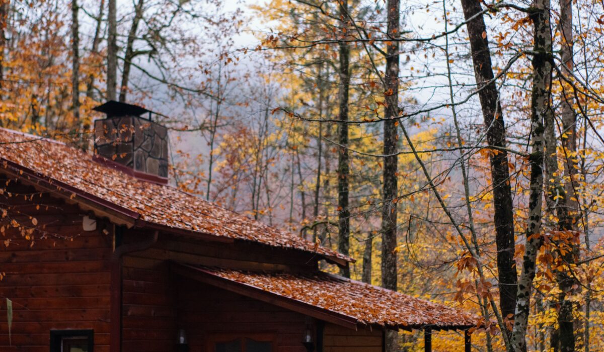 Fall leaves on a cabin roof.