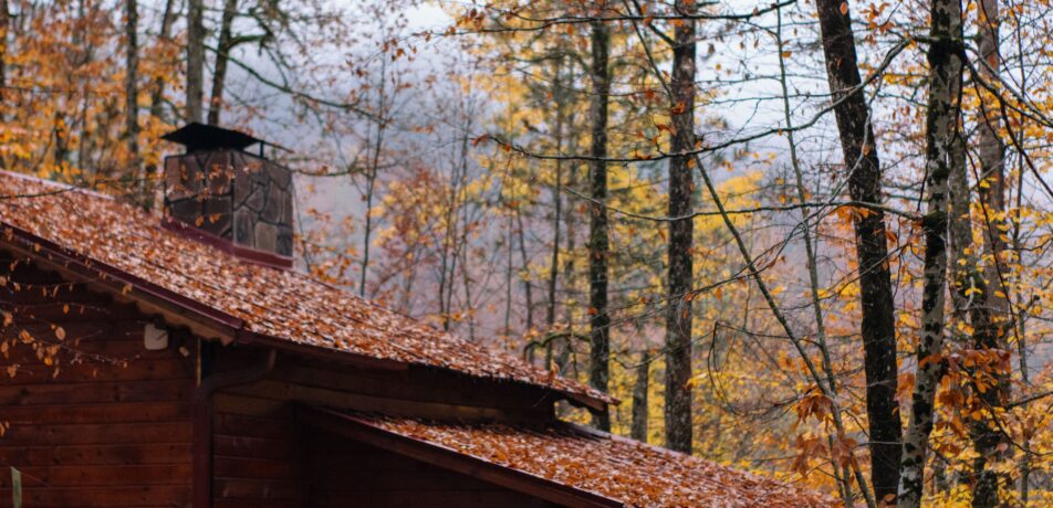 Fall leaves on a cabin roof.